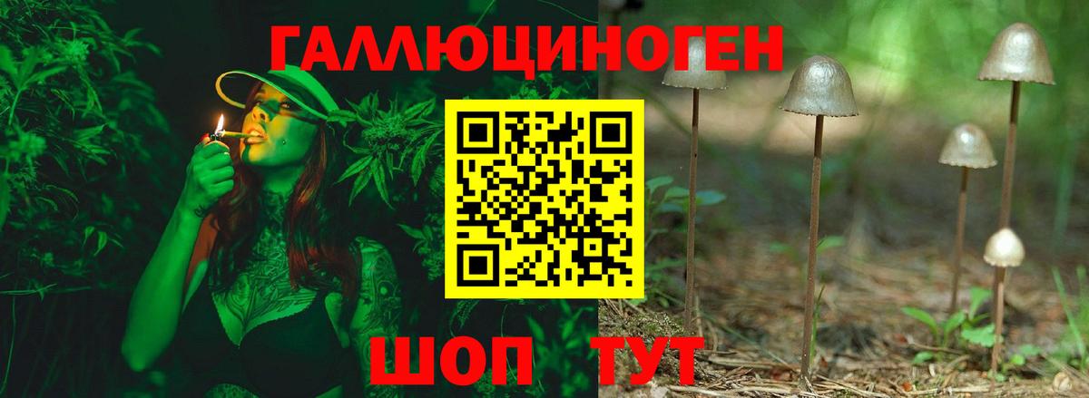 Псилоцибиновые грибы GOLDEN TEACHER Геленджик